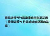 荷风送香气竹露滴清响是指荷花吗（荷风送香气 竹露滴清响是写荷花吗）