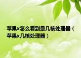 苹果x怎么看到是几核处理器（苹果x几核处理器）