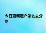 今日更新遗产怎么去分割