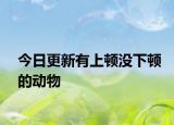 今日更新有上顿没下顿的动物