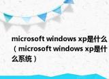 microsoft windows xp是什么（microsoft windows xp是什么系统）
