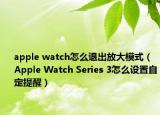apple watch怎么退出放大模式（Apple Watch Series 3怎么设置自定提醒）