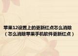 苹果12设置上的更新红点怎么消除（怎么消除苹果手机软件更新红点）