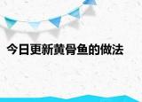 今日更新黄骨鱼的做法
