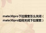 mate30pro下拉搜索怎么关闭（mate30pro如何关闭下拉搜索）