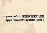 opporeno5pro哪里恢复出厂设置（opporeno5怎么恢复出厂设置）