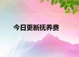 今日更新抚养费