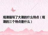 观潮描写了大潮的什么特点（观潮的三个特点是什么）