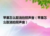 苹果怎么取消拍照声音（苹果怎么取消拍照声音）
