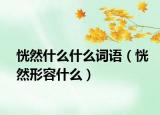 恍然什么什么词语（恍然形容什么）