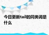 今日更新tail的同类词是什么