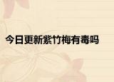 今日更新紫竹梅有毒吗