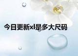 今日更新xl是多大尺码
