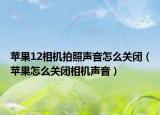 苹果12相机拍照声音怎么关闭（苹果怎么关闭相机声音）