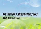 今日更新家人被刑事拘留了除了等还可以怎么办