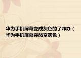 华为手机屏幕变成灰色的了咋办（华为手机屏幕突然变灰色）