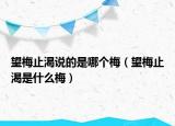 望梅止渴说的是哪个梅（望梅止渴是什么梅）