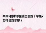 苹果x的水印在哪里设置（苹果x怎样设置水印）