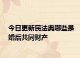 今日更新民法典哪些是婚后共同财产