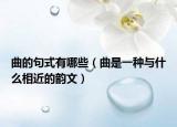 曲的句式有哪些（曲是一种与什么相近的韵文）