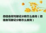 微信查询驾驶证分数怎么查询（微信查驾驶证分数怎么查询）