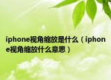 iphone视角缩放是什么（iphone视角缩放什么意思）