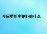 今日更新小龙虾吃什么