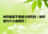 伽利略是不是被火烧死的（伽利略为什么被烧死）