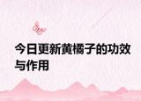 今日更新黄橘子的功效与作用