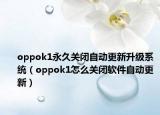 oppok1永久关闭自动更新升级系统（oppok1怎么关闭软件自动更新）