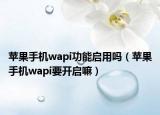 苹果手机wapi功能启用吗（苹果手机wapi要开启嘛）
