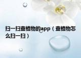 扫一扫查植物的app（查植物怎么扫一扫）