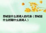 苏轼是什么派词人的代表（苏轼是什么时期什么派词人）