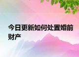 今日更新如何处置婚前财产