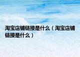 淘宝店铺链接是什么（淘宝店铺链接是什么）
