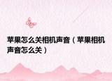 苹果怎么关相机声音（苹果相机声音怎么关）