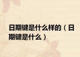日期键是什么样的（日期键是什么）
