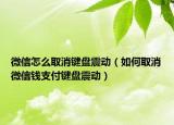 微信怎么取消键盘震动（如何取消微信钱支付键盘震动）