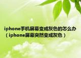 iphone手机屏幕变成灰色的怎么办（iphone屏幕突然变成灰色）