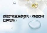 微信群能直接解散吗（微信群可以解散吗）