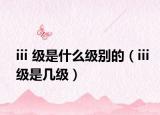 iii 级是什么级别的（iii级是几级）