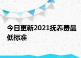今日更新2021抚养费最低标准