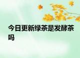 今日更新绿茶是发酵茶吗