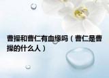 曹操和曹仁有血缘吗（曹仁是曹操的什么人）
