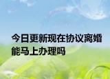 今日更新现在协议离婚能马上办理吗