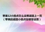 苹果12小圆点怎么设置返回上一页（苹果的返回小圆点在哪里设置）