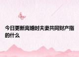 今日更新离婚时夫妻共同财产指的什么