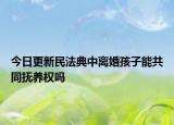 今日更新民法典中离婚孩子能共同抚养权吗