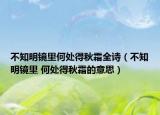 不知明镜里何处得秋霜全诗（不知明镜里 何处得秋霜的意思）