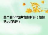 整个的pdf图片如何拆开（如何把pdf拆开）